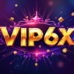 VIP6X.com Domain For Sale