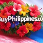 BuyPhilippines.com Domain For Sale By DomainsHub.com